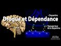 Addiction Mechanism In The Brain Animation 