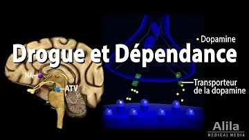 Pourquoi l'addiction déréglé ce circuit ?