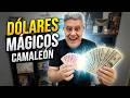 Vídeo: Dólares Camaleón