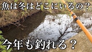 冬だ！魚の溜まり場で小物釣り