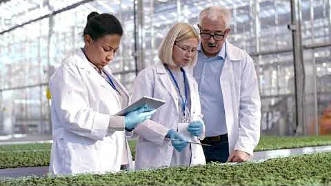 Croptimus™ AI-Powered Pest & Disease Detection