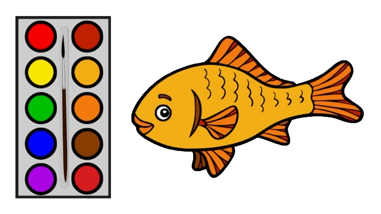 Cara Menggambar Ikan Mas Menggambar Dan Mewarnai Ikan Mas Untuk Anak YouTube