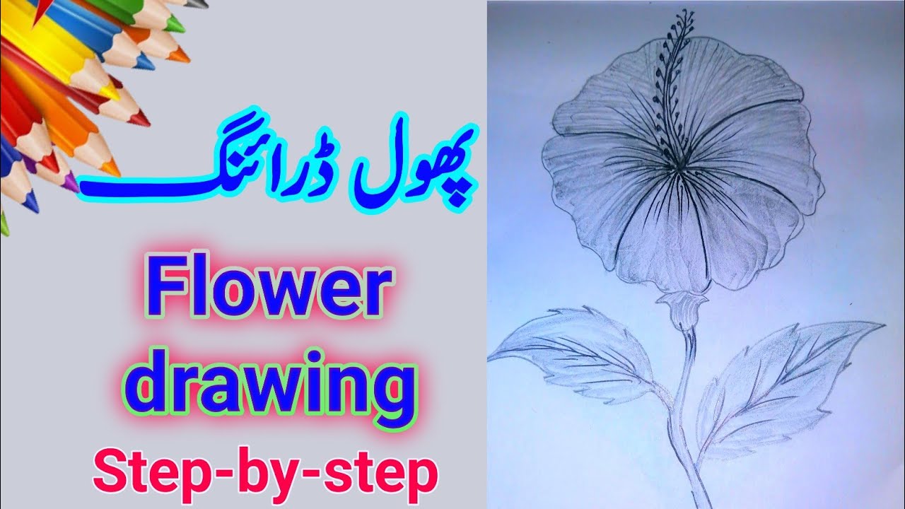easy flower drawing step by step //pencil flower drawing easy. YouTube