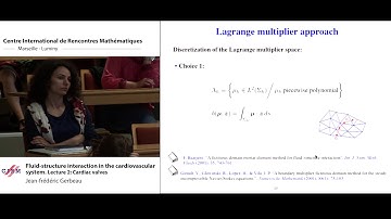 Jean-Frédéric Gerbeau: Fluid-structure interaction in the cardiovascular system. Lecture 2