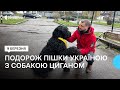 З Києва до Ужгорода пішки пройшли 1336 кілометрів Василь Катола із собакою Циганом