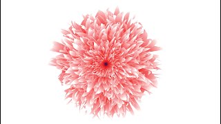 How To Create Beautiful Floral Vector in Illustrator Using Blend Tool