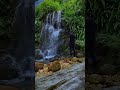 Regardante la Akvofalon… #nature #travel #flowers #forest #timelapse #aesthetic