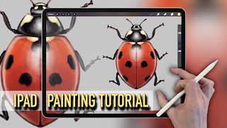 IPAD PAINTING TUTORIAL - How to paint a Ladybird / Ladybug screenshot 1