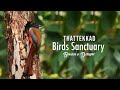 Thattekkad bird sanctuary  birders delight  birdwatching ernakulam forest