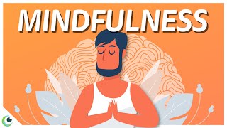 The Neuroscience of Mindfulness - What exactly happens to your brain when you meditate.
