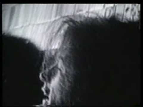 Caifanes - La Negra Tomasa