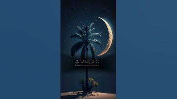 سورة الإسراء #قران_كريم #اكسبلور #الرحمن #دويتو #duet #تيك_توك #راحة_نفسية #حالات_واتس