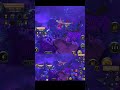 Un poco más y se lograba montar #foryou #gameplay #facilito #gank #pvp