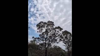 Talk - Blowing Wind