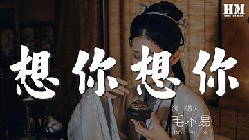 毛不易 - 想你想你『想你想你想你 我走過長長的一年四季 我總是想着你』【動態歌詞Lyrics】