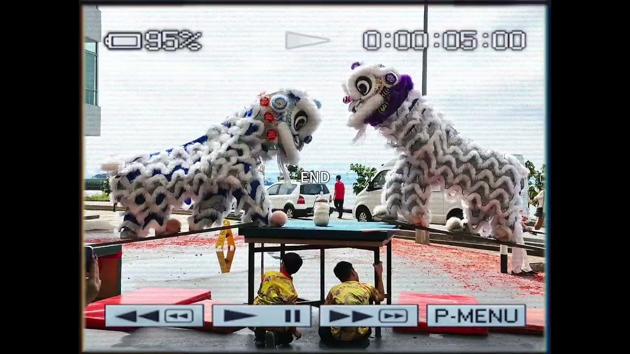 新年2026又结束了 来看看我们努力的过程吧#liondance #fyp 