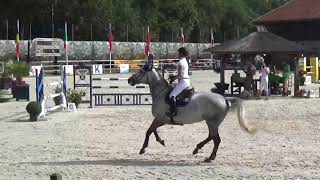 Khalissa, 1Gp, 8Yo Mare Winningmood X Utrillo