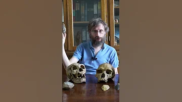 Зачем нужна теменная доля мозга – Станислав Дробышевский #наукаpro #дробышевский #антропология #мозг