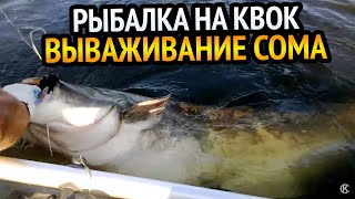 СОМ НА КВОК!!! РЫБАЛКА НА СОМА С КВОКОМ! ВЫВАЖИВАНИЕ СОМА НА 21 КГ. НЕМНОГО О ТОМ КАК ЭТО БЫЛО.