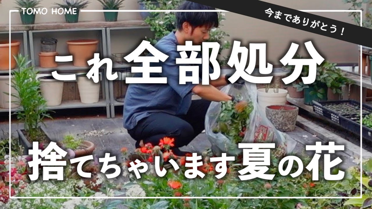 【もったいない！？】半日かけて夏の一年草を処分＆秋冬苗を迎える準備【10月の園芸】