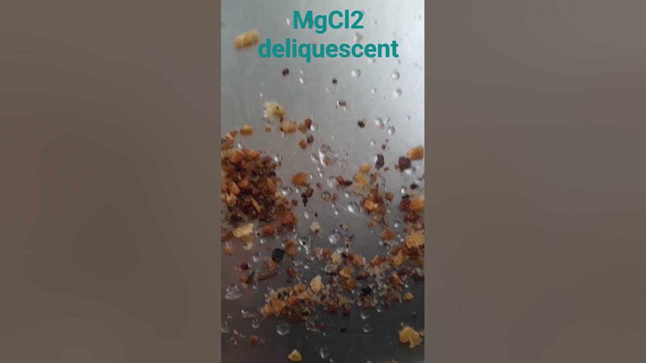 mgcl2-deliquescent-substance-present-in-common-salt-nacl-education