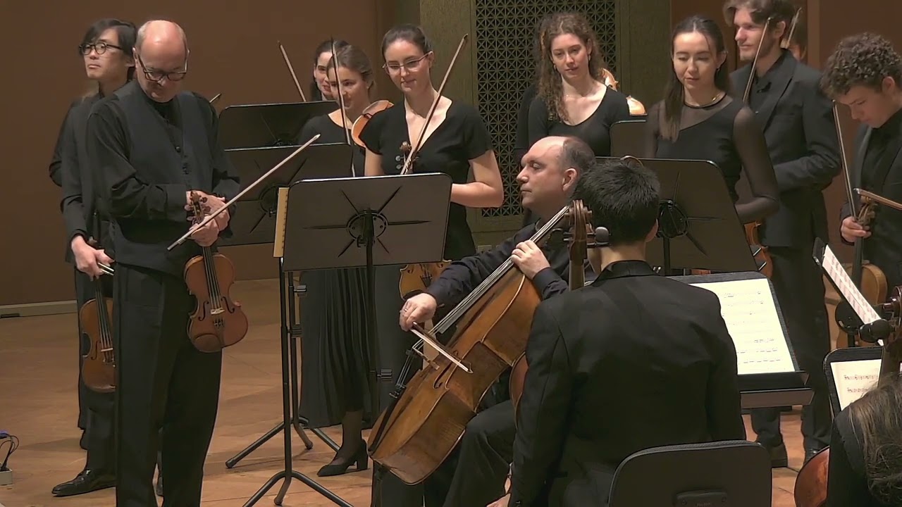 Haydn Concerto n. 2 in D major | Rafael Rosenfeld | Camber Academy Basel | Gordan Nikolitch