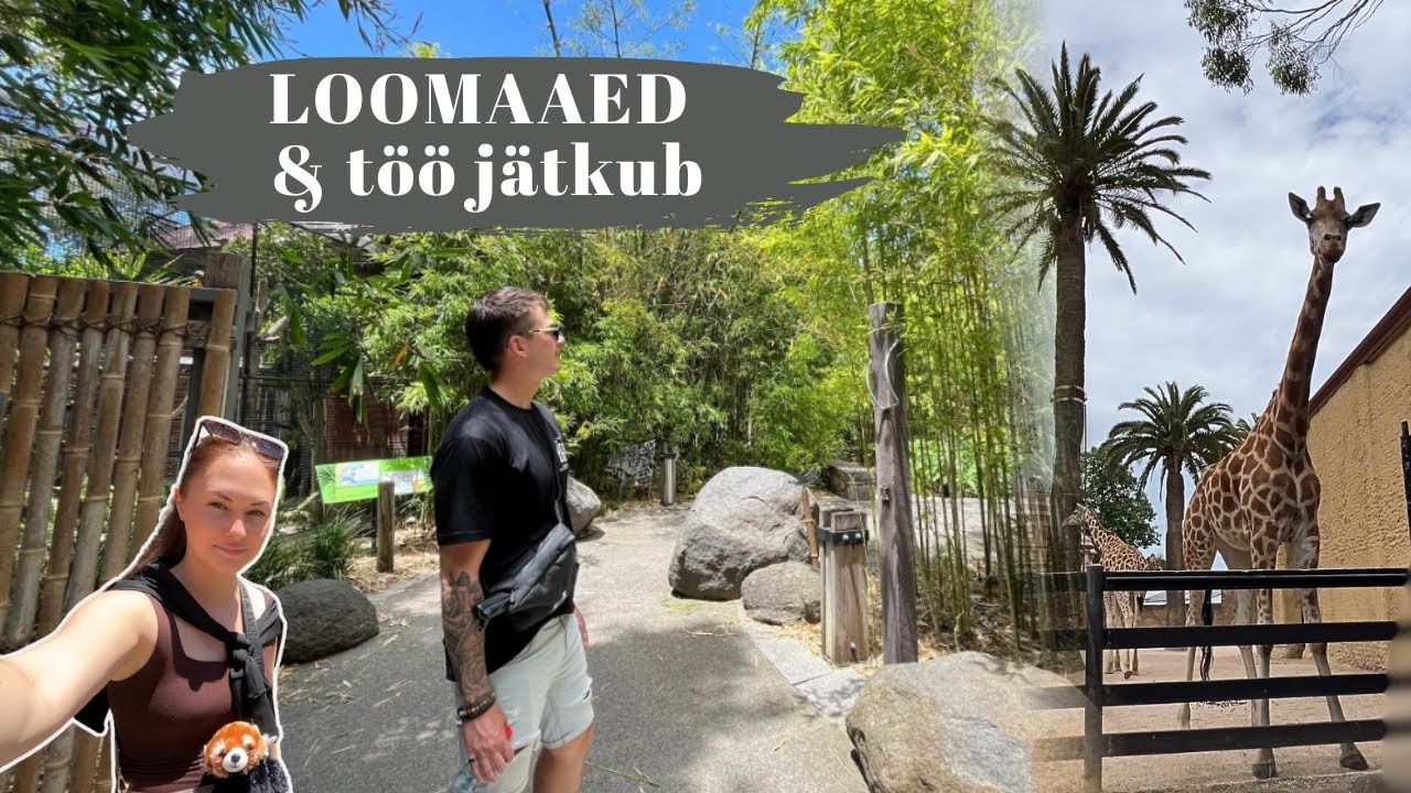 AUSSI VLOG | Loomaaed, töö ja kuumus 🥵