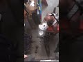 Thieve Rides Bike Out Of Sporting Goods Store