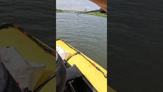 Трофейная щука#fishing #спиннинг #рыбалка #щука #рыба #frapp #приманки #джиг #ока  #трофейнаящука