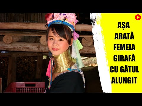 Asa arata FEMEIA GIRAFA cu gatul ALUNGIT