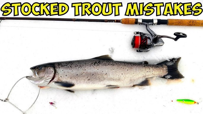 Top 10 Stocked Trout Fishing Baits 