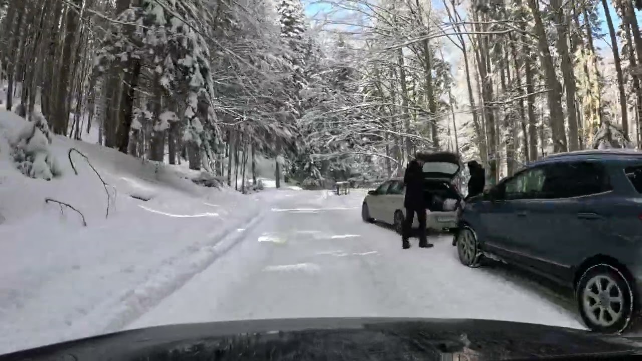 Peugeot 308 SW - urcare pe TransBucegi pe zăpadă 