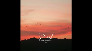 تلاوة هادئة تريح الأعصاب 😴🎧 | القاريء شريف مصطفى - سورة الحديد 🤍🌥️."