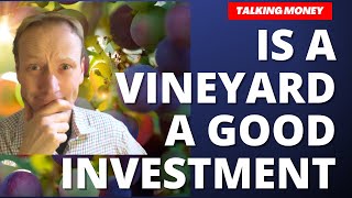 Is a Vineyard a good investment?  (Why I started one!!) by Talking Money 22,569 views 2 years ago 9 minutes, 28 seconds