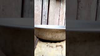 Mật ong nhà ai lấy liên hệ e nha.và nhớ sub kênh cuả mình để xem những video mới nhất