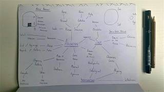Famous DEEP DIVE: Jung, the Archetypes & the Self [& Synchronicity Recap] Net Worth