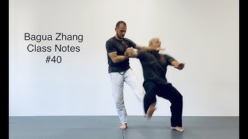 Bagua Zhang - Class Notes #40 / 28. October 2022