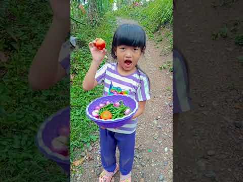 Jangan Makan Cabe‼️#shorts