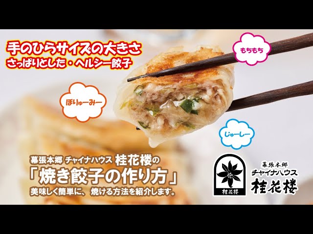チャイナハウス桂花楼 桂花餃子の 焼き餃子 を 美味しく簡単に 焼ける方法を紹介します Youtube