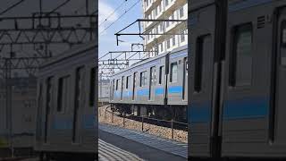 JR仙石線205系3100番台電車松島海岸行き2024.4.21苦竹駅
