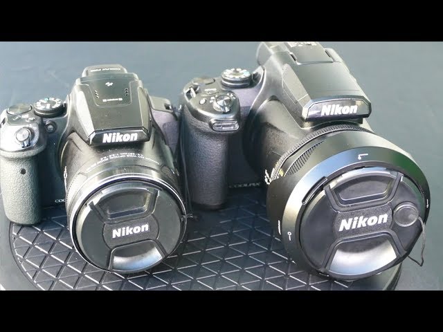 Nikon P1000 vs Nikon A Detailed Comparison