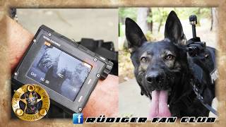 HD  The Story Of Rudiger  K9 Officer from  Nevada County Police Department
