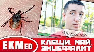 Что делать если укусил клещ? Что делать если укусил клещ?