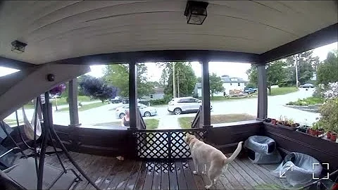 Video shows car crash into Maine home, narrowly miss woman in her yard