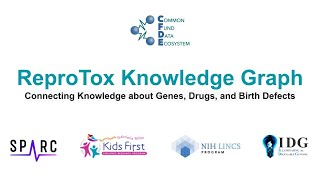 CFDE ReproTox Knowledge Graph (Connecting Knowledge about Genes, Drugs, and Birth Defects) screenshot 1