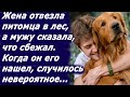 Муж не поверил жене, что его пес сбежал, а когда нашел, то был шокирован, увидев странную картину...