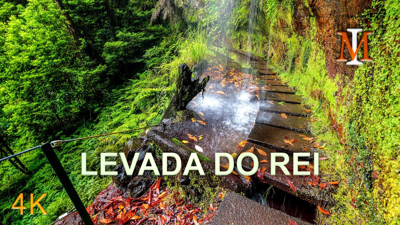 Levada do Rei (PR18) – One of the Most Beautiful Levada Walks in Madeira 4K 🌿