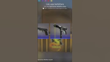 Opening a CS:GO case every day until i get a knife or gloves, Operation Wildfire Case, Day 42