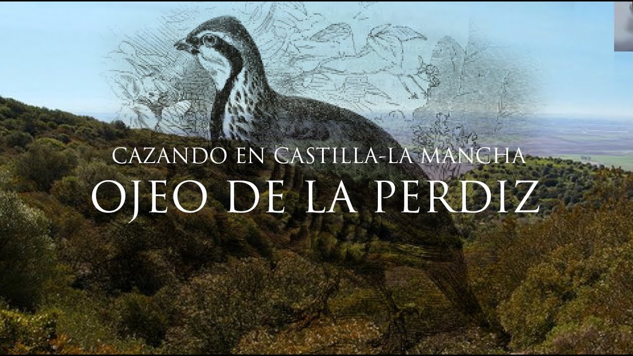 CAZANDO EN CLM. Cap.01 Ojeo de perdiz