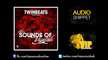 Twin Beats ft Anil - Challa Ishq De Rang **Audio Snippet**